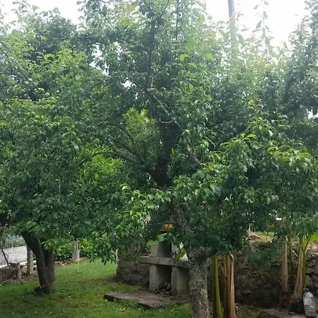 Casa Da Pedrada 蓬蒂-达巴尔卡