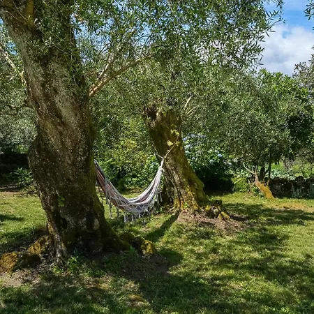 Tatil Evi Casa Da Pedrada *