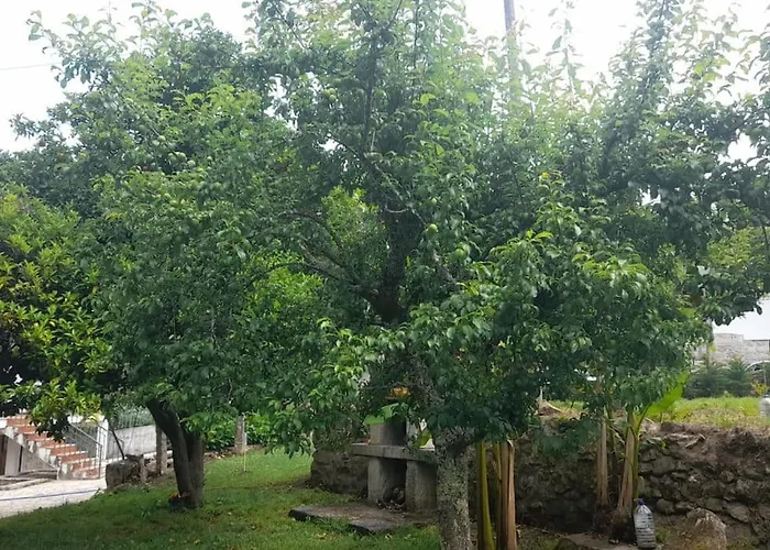 Casa Da Pedrada Ponte da Barca